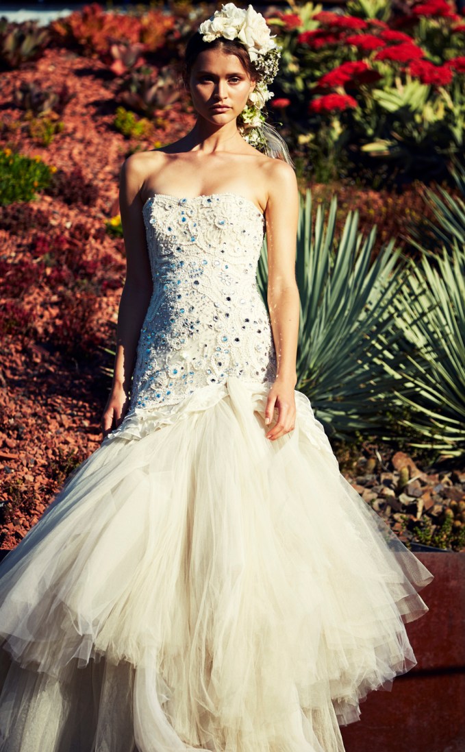 BOTANICAL_Afordyce_C6C2840