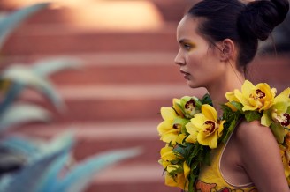 BOTANICAL_Afordyce_C6C3030