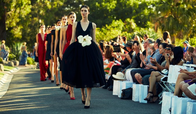 BOTANICAL_Afordyce_C6C3126