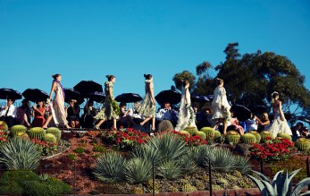 BOTANICAL_Afordyce_MG_0474