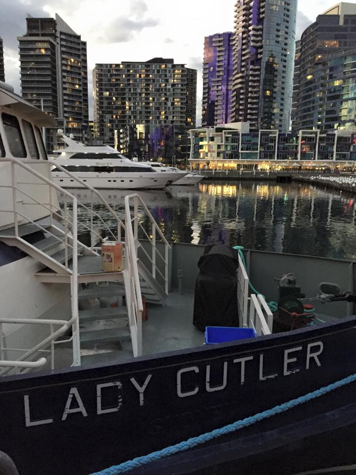 10996229_781239348628674_1128819724851433046_n